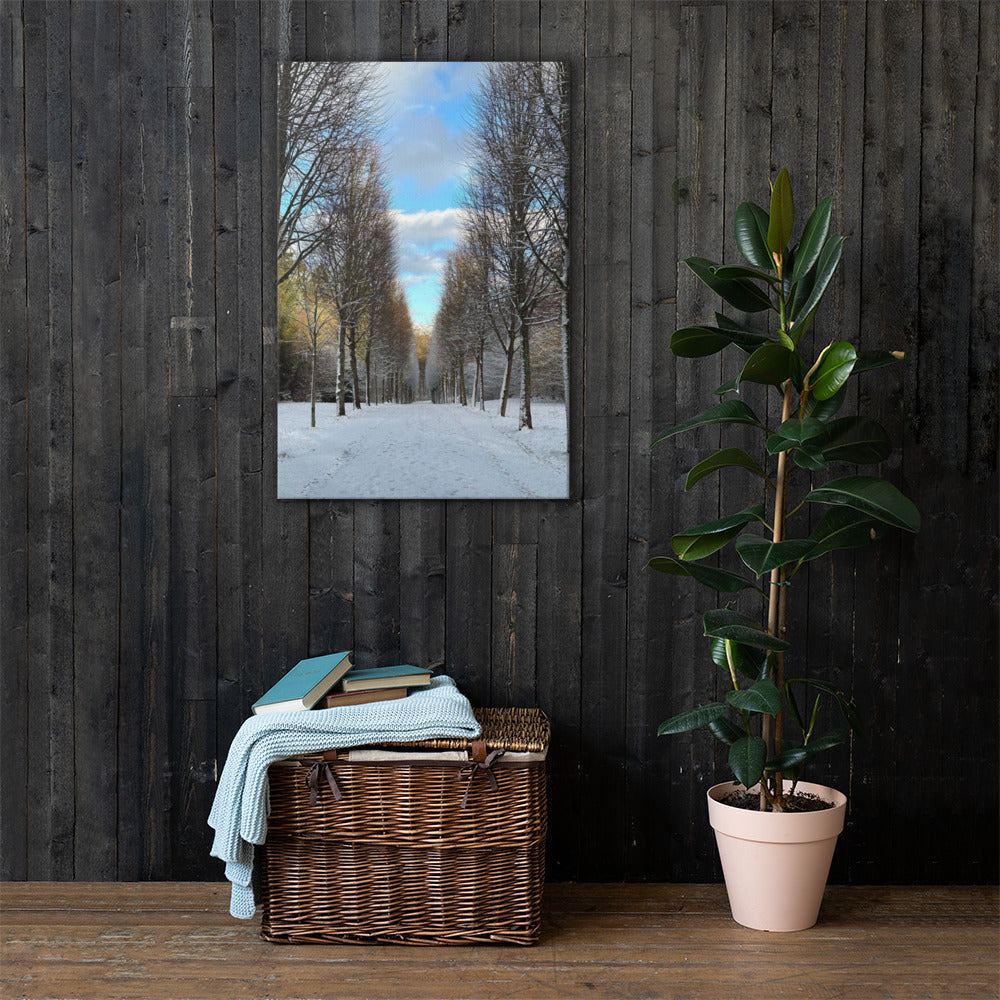 Sne i Fredensborg slotspark